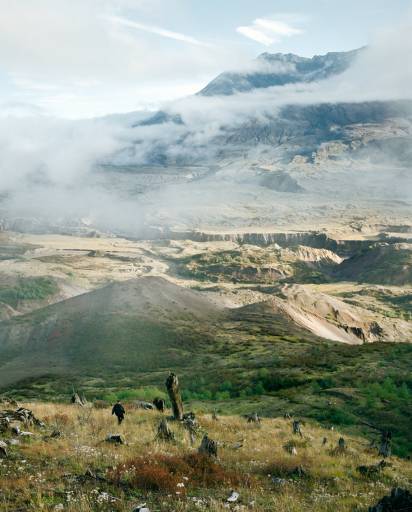 fino al 14.XI.2009 | Guido van der Werve | Roma, Monitor fino al 14.XI.2009 | Guido van der Werve | Roma, Monitor