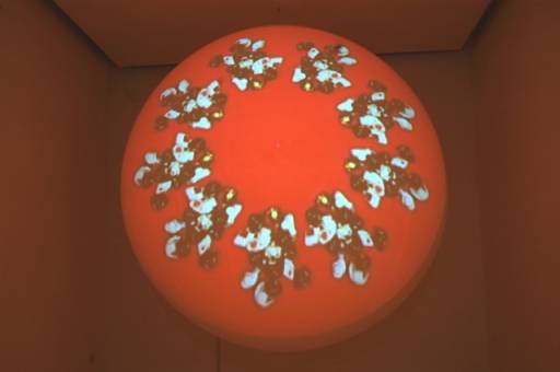 fino al 5.XII.2009 | Katja Loher | Salerno, Tiziana Di Caro