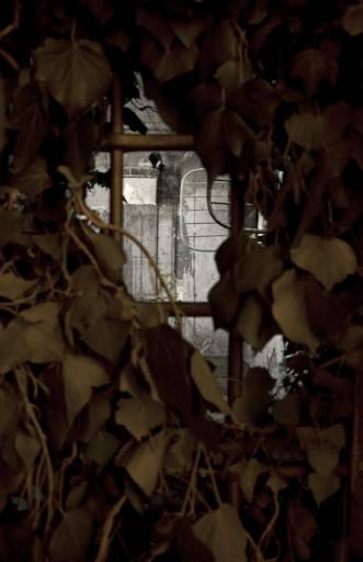 fino al 30.XI.2009 | Gian Maria Tosatti | Genazzano (rm), Ciac fino al 30.XI.2009 | Gian Maria Tosatti | Genazzano (rm), Ciac