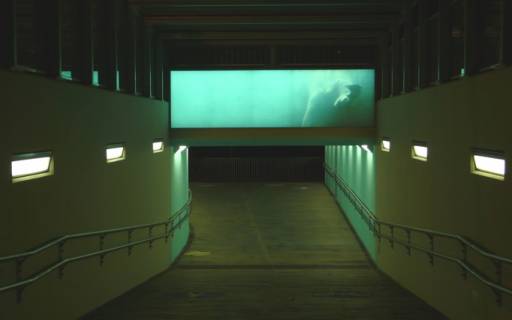 VIENNA ART WEEK 2009 | LA MUTAZIONE DELLA SPECIE VIENNA ART WEEK 2009 | LA MUTAZIONE DELLA SPECIE