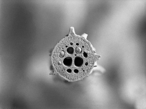 fino al 30.XII.2009 | Michele Guido | Roma, Z2O Galleria