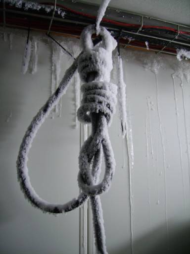 fino al 17.I.2010 | Chasing Napoleon | Paris, Palais de Tokyo