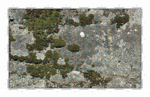 fino al 23.I.2010 | Marcelo Moscheta | Milano, Riccardo Crespi