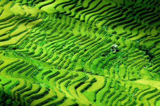 fino al 5.II.2010 | Federico Sambolino | Milano, Project B