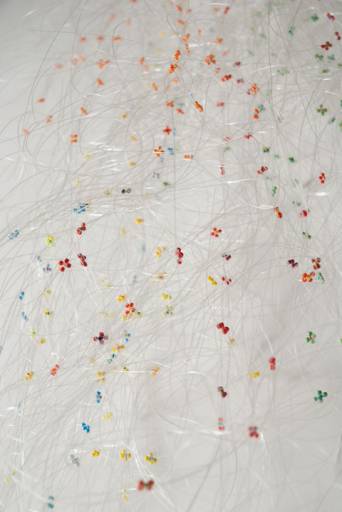 fino al 27.II.2010 | Aldo Grazzi | Venezia, Caterina Tognon