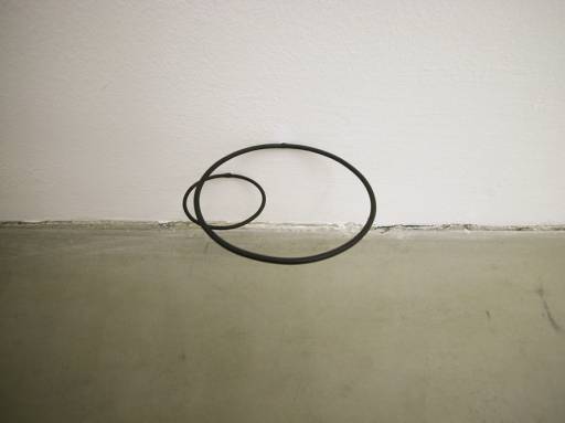 fino al 21.III.2010 | Liudvikas Buklys | Milano, Enrico Fornello