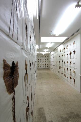 fino all’1.III.2010 | Federico Cavallini | Roma, CondottoC