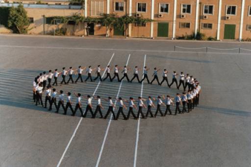 PICCOLE STELLE CRESCONO PICCOLE STELLE CRESCONO