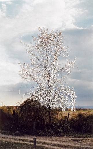 fino al 5.IV.2010 | Jim Hodges | Venezia, Fondazione Bevilacqua La Masa