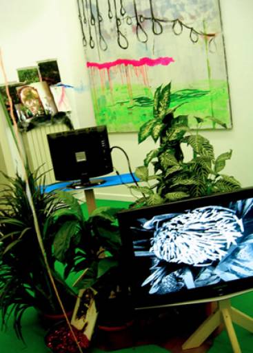 fino al 28.III.2010 | Dineo Seshee Bopape | Napoli, annarumma404