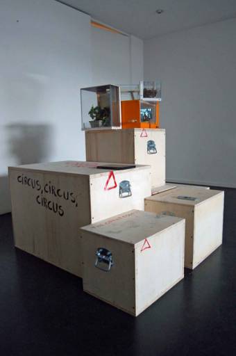 fino al 10.IV.2010  | Josef Rainer | Bolzano, Goethe2