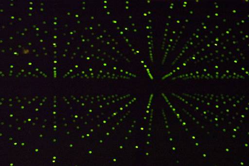 fino al 2.V.2010 | Digital Life | Roma, La Pelanda