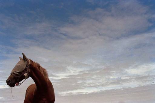 fotografia_festival | L’Europa a Reggio Emilia