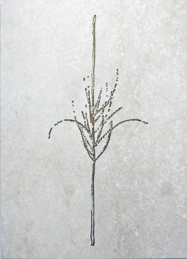 fino al 22.V.2010 | Stefano Arienti | Brescia, Massimo Minini fino al 22.V.2010 | Stefano Arienti | Brescia, Massimo Minini