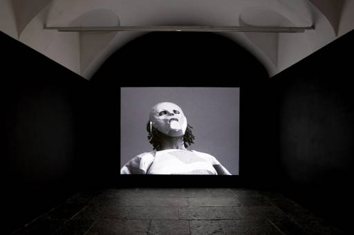 fino al 21.V.2010 | Kelly Nipper | Milano, Francesca Kaufmann fino al 21.V.2010 | Kelly Nipper | Milano, Francesca Kaufmann