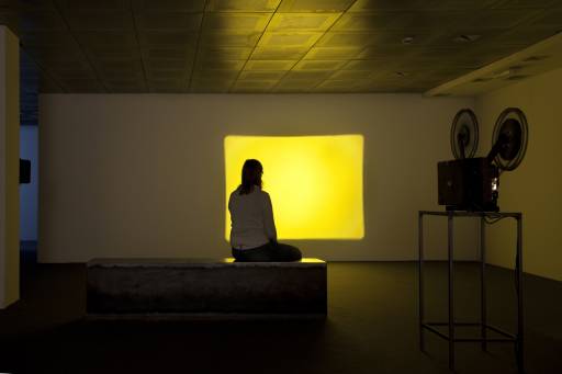 fino al 31.VII.2010 | In Full Bloom | Milano, Raffaella Cortese / sedi varie fino al 31.VII.2010 | In Full Bloom | Milano, Raffaella Cortese / sedi varie