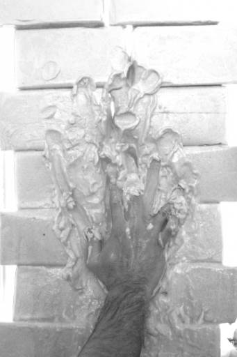 fino al 14.VI.2010 | Alessia De Montis | Bologna, Contemporary Concept