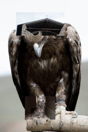 fino al 26.VI.2010 | Lucia Uni | Milano, Pianissimo