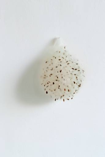 fino al 5.IX.2010 | Christiane Löhr | Varese, Villa Panza