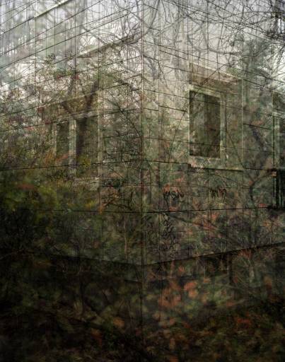 architettura_mostre | Sensational Architecture | Roma, Auditorium Parco della Musica