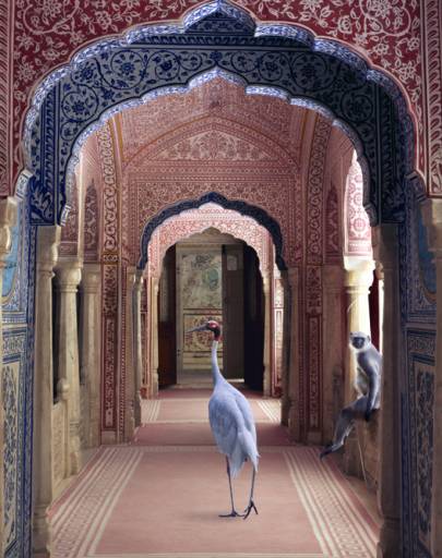 fino al 3.XI.2010 | Karen Knorr | Torino, Photo & Co.