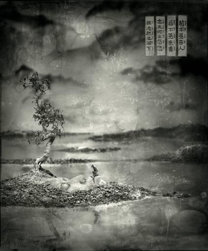 fino all’11.XII.2010 | Ma Liang | Roma, Galleria Co2 fino all’11.XII.2010 | Ma Liang | Roma, Galleria Co2