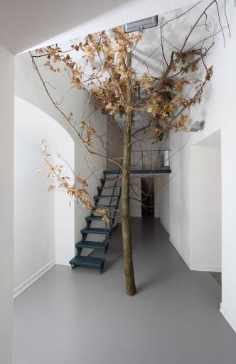 fino al 28.II.2011 | Henrik Håkansson | Torino, Franco Noero