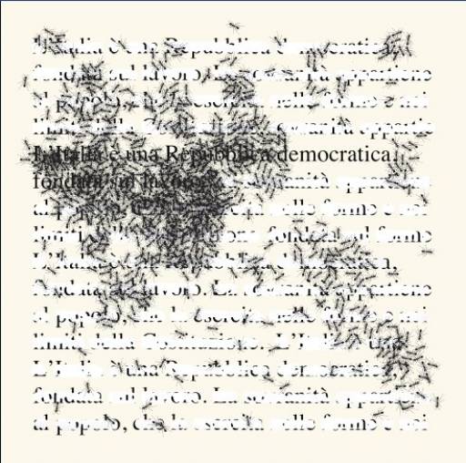 fino al 29.I.2011 | Emilio Isgrò | Verona, Boxart