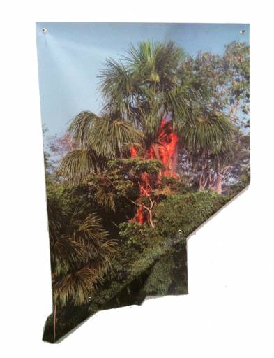 fino al 4.II.2011 | David Brooks | Milano, Centro Medico Sant’Agostino fino al 4.II.2011 | David Brooks | Milano, Centro Medico Sant’Agostino