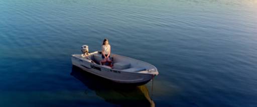 fino al 13.II.2011 | Philippe Parreno | London, Serpentine Gallery