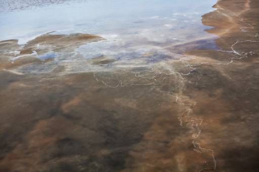 fino al 20.II.2011 | Beatriz Franco | Milano, Carla Sozzani