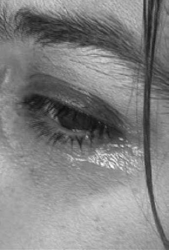 fino al 23.IV.2011  | Mariana Ferratto | Roma, The Gallery Apart