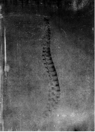 Il linguaggio dei “segni” di Alphabet