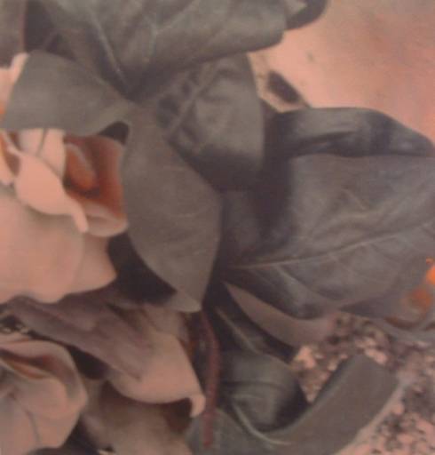 fino al 1.VII.2011 | Lisa Castellani – Distance / Proximity | Verona – Kn studio | fino al 1.VII.2011 | Lisa Castellani – Distance / Proximity | Verona – Kn studio |