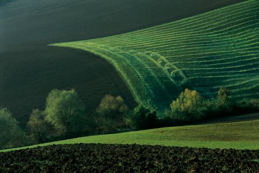 TERRE DI LOTTO. UNA DIFFERENTE INTERPRETAZIONE DEL “SISTEMA MOSTRA”