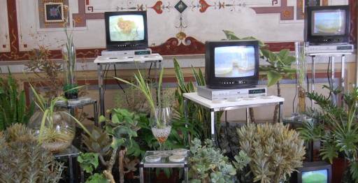 fino al 28.VIII.2011 | Maria Rebecca Ballestra – Post Human Garden | Museo d’Arte Contemporanea di Villa Croce | Genova fino al 28.VIII.2011 | Maria Rebecca Ballestra – Post Human Garden | Museo d’Arte Contemporanea di Villa Croce | Genova