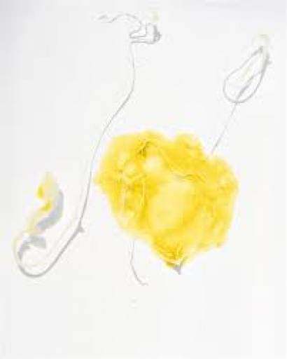 fino al 28.I.2012 | Beatrice Pediconi | Roma, Z2O Galleria|Sara Zanin