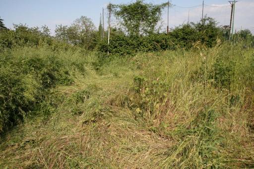 fino al 7.I.2012 | Lara Almarcegui  | Roma, Fondazione Pastificio Cerere