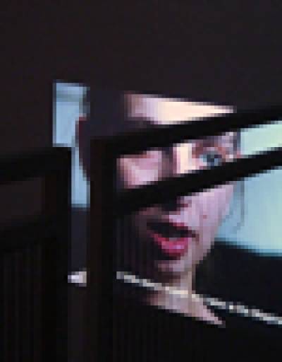 fino al 28.I.2012 | Roee Rosen | Milano, Galleria Riccardo Crespi