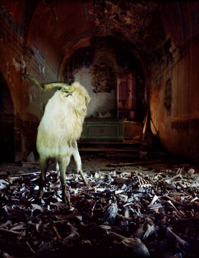 fino al 15.VII.2012 | Greta Alfaro | Prato, Galleria Vault fino al 15.VII.2012 | Greta Alfaro | Prato, Galleria Vault