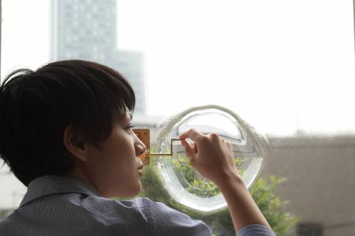 fino al 6.VIII.2012 | Anri Sala | Parigi, Centre Pompidou