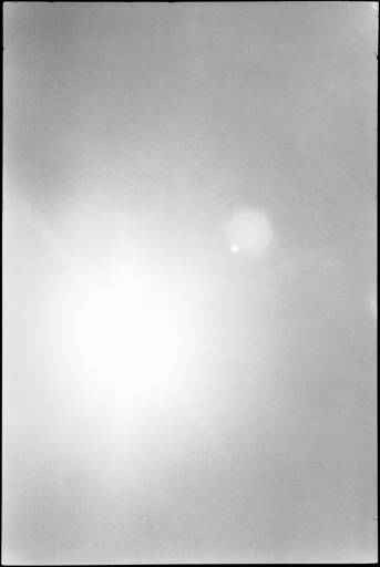 fino al 28.VII.2012 | Zoe Leonard | Milano, Galleria Raffaella Cortese