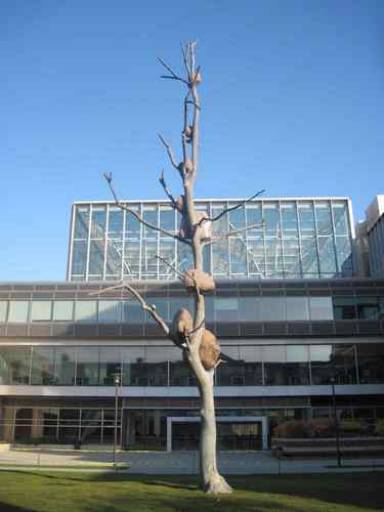 Impara l’arte e mettila a profitto Impara l’arte e mettila a profitto