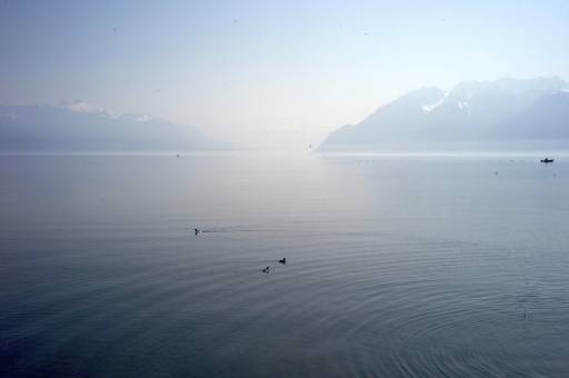 Che cosa c’entra la morte?