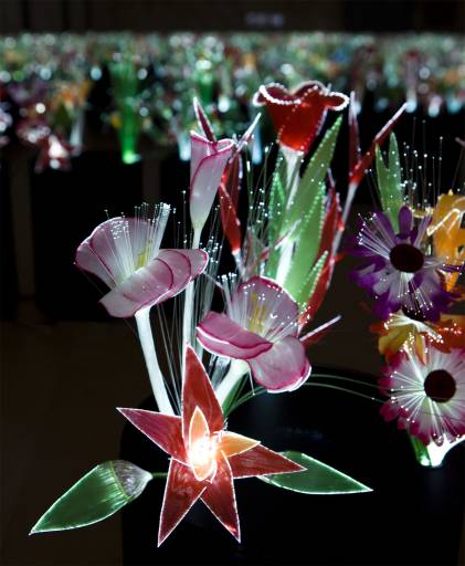 La natura politicamente scorretta