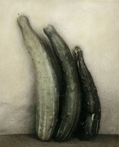 Fino al 28.II.2013 | Ingar Krauss, Nature Morte | Milano, Galleria Suzy Shammah