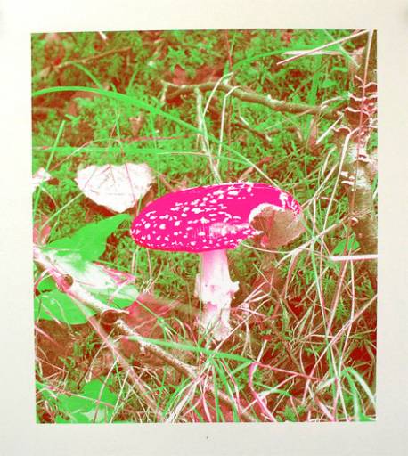 Fino al 9.V.2013 | Collettiva, Sous influences | Parigi, La Maison Rouge