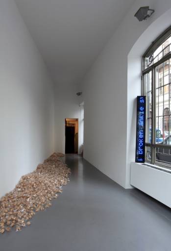 fino al 13.IV.2013 | Darren Bader | Torino, Galleria Franco Noero