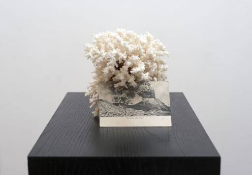 Finissage Il Premio Moroso