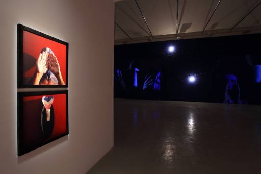 Fino all’8.VI.2013 | Michele Zaza, Il risveglio del Paesaggio  | Torino, Galleria Giorgio Persano